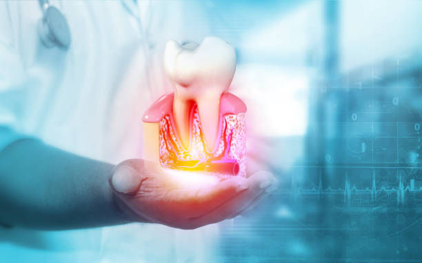 Premier Dental Care On Prince William Parkway
